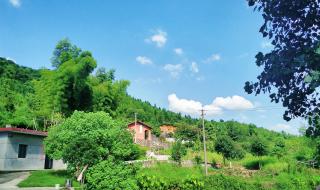 江西省抚州市临川区 江西省抚州市临川区